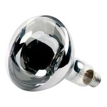 Lâmpada Secagem 250W 110V - Ourolux