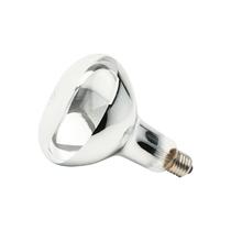 Lampada secagem infraverm.250wx127 - BRASFORT