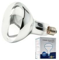 Lâmpada Secagem Infravermelho 220v 250w Brasfort Soquete E27