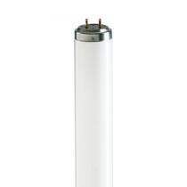 Lâmpada Tubular Philips Fluorescente T8 4100k 16w Bivolt