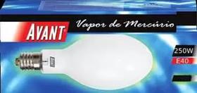 lampada vapor de mercurio 250w , tipo ovoide, avant