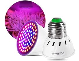 Lâmpadas De Led Para Ajudar As Plantas Cresce - Hidropônica