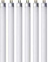 Lâmpadas de tubo fluorescente Bulbmaster F8T5/CW 8W 4100K, pacote com 6