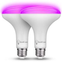 Lâmpadas JandCase BR30 Halloween Purple 11W (pacote com 2)