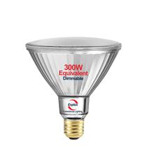 Lâmpadas LED para inundação Explux 300W equivalentes a 3500 lm, pacote com 1 pacote Lâmpadas LED para inundação Explux 300W equivalentes a 3500 lm, pacote com 1 pacote