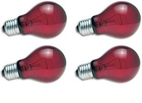 Lâmpadas para Répteis Zoo Med Nightlight Vermelha 40W - Pacote com 4