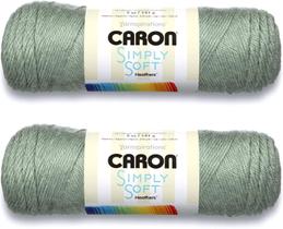 Lana Caron Simply Soft Solids Paquete de 2 Woodland 340,2 g/576 m