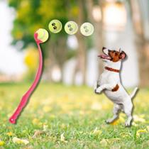 Lançador de Bolinhas para Cães Pet Arremessador Bolinha Brinquedo Pet Educativo Adestramento