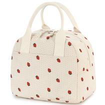 Lancheira de veludo isolado LOVELYWIND 27x19x20 cm bege