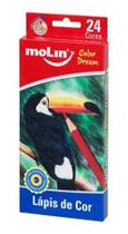 Lápis De Cor Color Dream 24 Cores Molin