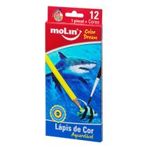 Lápis de Cor Color Dream Aquarelável com 12 Cores + 1 Pincel - Molin