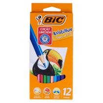 Lápis de Cor com 12 Cores Bic