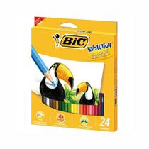 Lápis De Cor Evolution 24 Unidades Bic