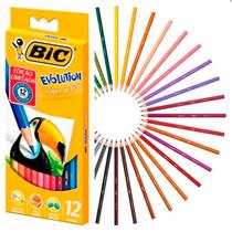 Lápis de Cor Evolution Sextavado 12 Cores Bic