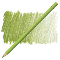 Lápis de Cor Faber-Castell Polychromos Permanente 170 Verde Maio