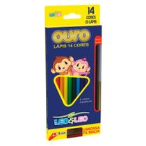 Lápis de Cor Ouro Triangular Estojo com 14 cores e apontador e lápis bicolor - Leo&Leo