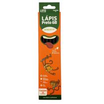 Lápis De Escrever Grafite Preto Caixa Com 12 Unidades