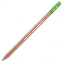 Lápis Pastel Seco Caran dAche 234 Middle Moss Green 30% Lápis Pastel Seco Caran dAche 234 Middle Moss Green 30%