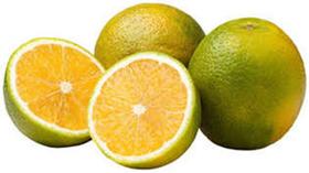 Laranja Pera Rio kg Laranja Pera Rio kg