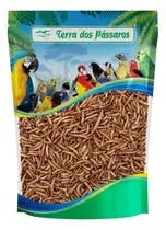 Larvas Tenébrio Comum Desidratado Pequeno Para Pássaros 20g Larvas Tenébrio Comum Desidratado Pequeno Para Pássaros 20g