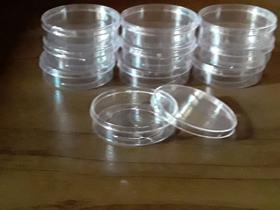 LATINHA DE ACRÍLICO TRANSPARENTE 5x1.5cm-PACOTE C/ 50 UNID