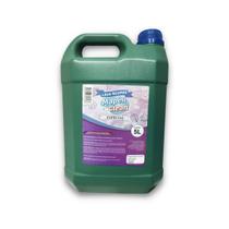 Lava Liquido Para Roupas 5 Litros Alto Rendimento Cheiroso Lava Liquido Para Roupas 5 Litros Alto Rendimento Cheiroso