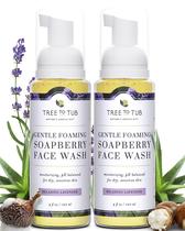 Lavagem facial para pele sensível de árvore a banheira com aloe vera e lavanda Lavagem facial para pele sensível de árvore a banheira com aloe vera e lavanda