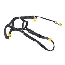 Leash Coastal Walk 'n Train Head Halter No-Pull Medium