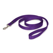 Leash PetSafe Nylon Dog, 1 polegada x 6 pés, forte, durável, roxo profundo