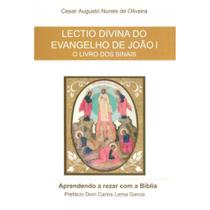 Lectio Divina do Evangelho de João I - Kelps / Mov. da Transfiguração