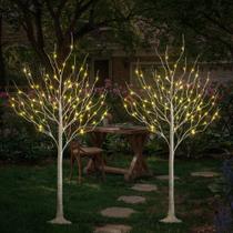 LED Birch Tree LIGHTSHARE 1,8 m 72 L branco quente, pacote com 2