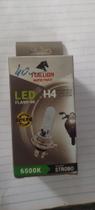 Led - Stallion Led - Stallion
