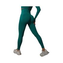 Leggings de Ginástica de Cintura Alta Sem Costura para Mulheres - Levantamento de Bumbum