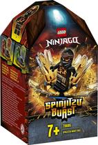 Lego Ninjago Rajada de Spinjitzu - Lego70685