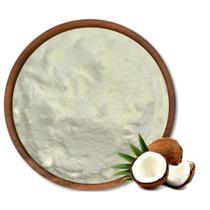 Leite de Coco em Pó Embalado 1Kg