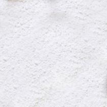 Leite de Coco em Pó Vegano - 1kg