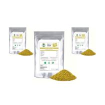 Lemon Pepper 500g, Raiz e Sabor Premium, Kit com 3