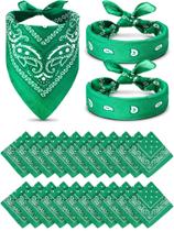 Lenço quadrado Paisley tipo unidade Bandana de 36 peças (54x54cm) verde Lenço quadrado Paisley tipo unidade Bandana de 36 peças (54x54cm) verde