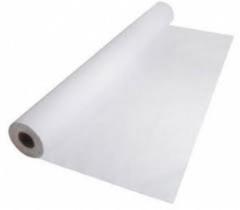 Lencol Hospitalar Extraluxo 70x50cm Isapel- 1 rolo