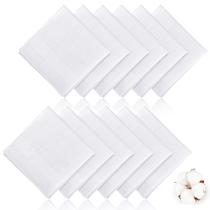 Lenços PEASUG Kit com 12 Unidades 38x38 cm Algodão Branco Lenços PEASUG Kit com 12 Unidades 38x38 cm Algodão Branco