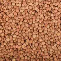 Lentilha Canadense 100gr
