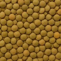 Lentilha Canadense De Alta Qualidade 100g