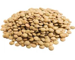 Lentilha Canadense Pacote 500g