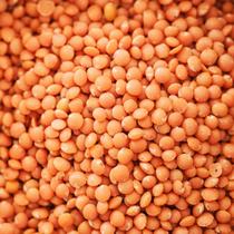 Lentilha Vermelha 1kg