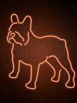 Letreiro cachorro neon Letreiro cachorro neon