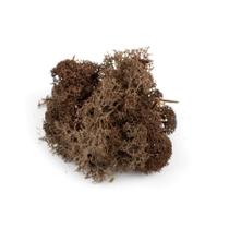 Lichen Moss War World Scenics Brown 60g Model Railway Wargame