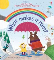 Lift-The-flap First Questions And Answers: What Makes It Rain