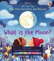 Lift-The-flap Very First Questions And Answers: What Is The Moon