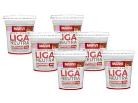 Liga Neutra Estabilizante P/sorvetes Bolo 100gr Marvi - 6 un