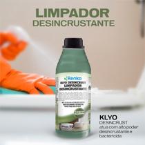 Limpa Banheiro Desincustante Box Azulejos Vaso Sanitario Limpe Sem Esforço 1L Limpa Banheiro Desincustante Box Azulejos Vaso Sanitario Limpe Sem Esforço 1L